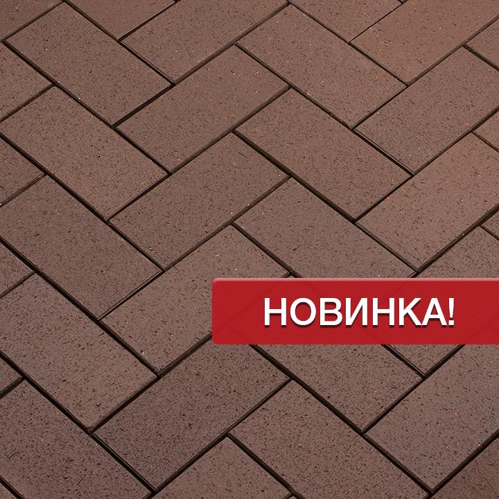 Клинкерная брусчатка Penter Baltic Braun
