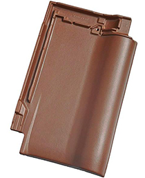 Dark Brown.jpg